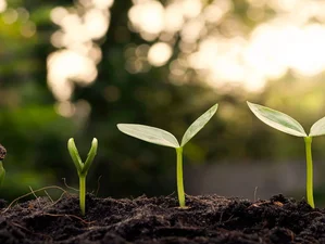 Personal Development Retreats Retreats & Trips