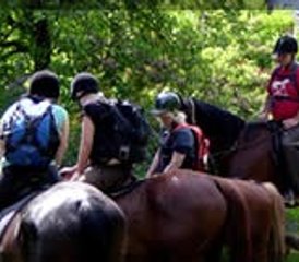 3 jours en stage d’équitation au cœur des montagnes centrales de Bohême, Litoměřice, République tchèque - Photo 5