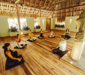 54 jours en retraite de méditation de pleine conscience et yoga à Sierra Nevada, Colombie - Photo 1