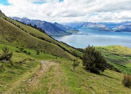 Otago Retreats & Trips