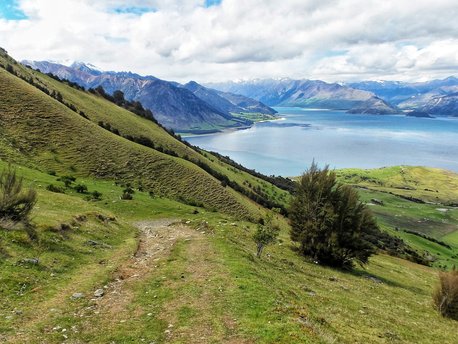 Otago