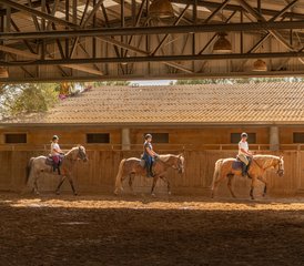 8 Tage Anfänger Reitprogramm in Mallorca, Balearische Inseln, Spanien - Photo 5