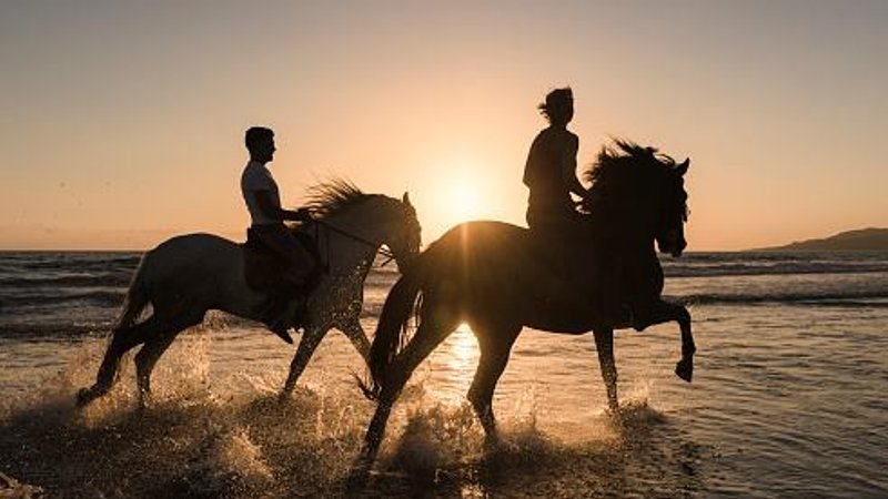 8 Day All Inclusive Ranch Equestrian Activities with Yoga Holiday in Agadir