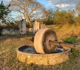 8 días de profesorado de 100 horas en chakra vinyasa, alineación y meditación en Mérida - Photo 2