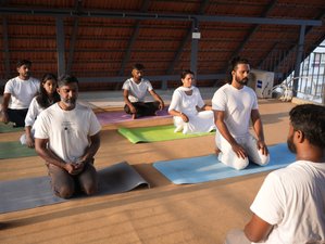 9 Day Ayur Yoga Ayurveda Wellness and Rejuvenation Therapy Retreat with Yoga at Kerala, India