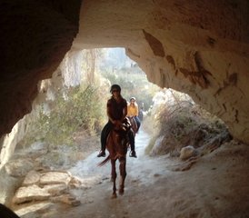 3-Daagse Adembenemende Paardrijtour in Turkije: Zie Feeënschoorstenen Valleien en Meer - Photo 5