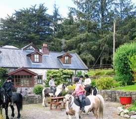 68 jours en séjour équestre résidentiel tous niveaux An Sibin à Whitegate, County Clare, Irlande - Photo 1