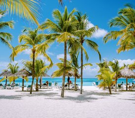 5 Day Intensive Surf & Yoga Retreat for Beginners in Luxury Villa in Caribbean, Dominican Republic - Photo 2