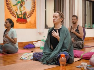 28 Tage 200-Stunden Hatha, Ashtanga Vinyasa, Iyengar, Meditation, Pranayama mit Ganzheitlichem TTC in Rishikesh
