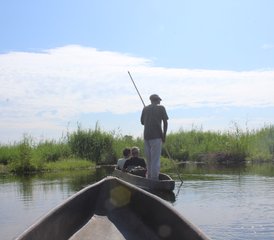 2-Daagse Okavango Delta Mokoro Safari in Botswana - Photo 4