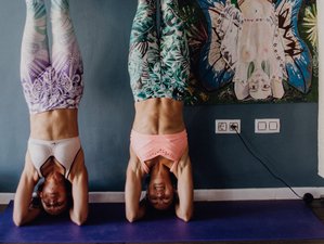 21 Day 200-hour Advance Vinyasa Yoga Teacher Training in the South of Spain