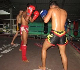 6 días de retiro de muay thai, yoga, bienestar y cocina en Ao Nang, Krabi, Tailandia - Photo 5