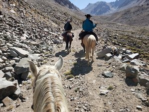 5 Day Horseback Riding Holiday with Winery Tour in Argentina