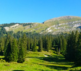 4 Tage Wandern und Sein Retreat mit Meditation und Yoga auf den Churfirsten, Toggenburg, Schweiz - Photo 4