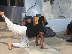 21 Day 200-Hour Ashtanga Vinyasa Yoga Teacher Training in Ubud, Bali, Indonesia