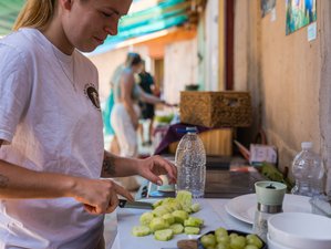 8 Day Health Retreat at an Amazing Place in the Mountains of Andalusia, Spain