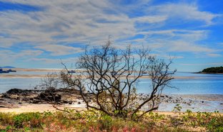 Agnes Water Retreats & Trips
