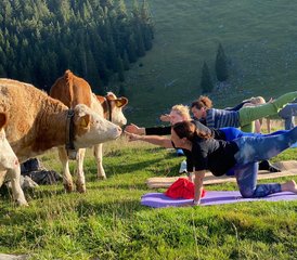 3 Tage Retreat: Sanftes Yoga und Wandern auf der Obere Firstalm, Deutschland - Photo 4