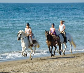 37 Day Journey to Self: 1-1 or Family Horse Riding Holiday, Coaching and Yoga at Costa del Sol, Spain - Photo 1