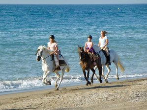 7 Tage Reise zu sich selbst: 1:1 oder Familien-Reit-Urlaub, Coaching und Yoga an der Costa del Sol, Spanien