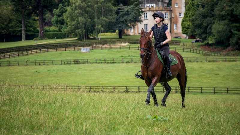 7 Day Luxury Horse Riding Holiday: Single Traveller Special in Wicklow, Ireland