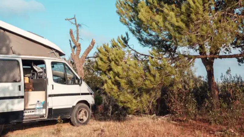 8 Day All-Level Surf and Chill Holiday in Lisbon, Portugal