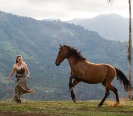 010 Tage Mountain to Caribe: Horse Connection und Yoga Tour in Costa Rica - Photo 1