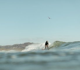 7 jours en stage de yoga et surf à Playa Grande, Guanacaste, Costa Rica - Photo 3