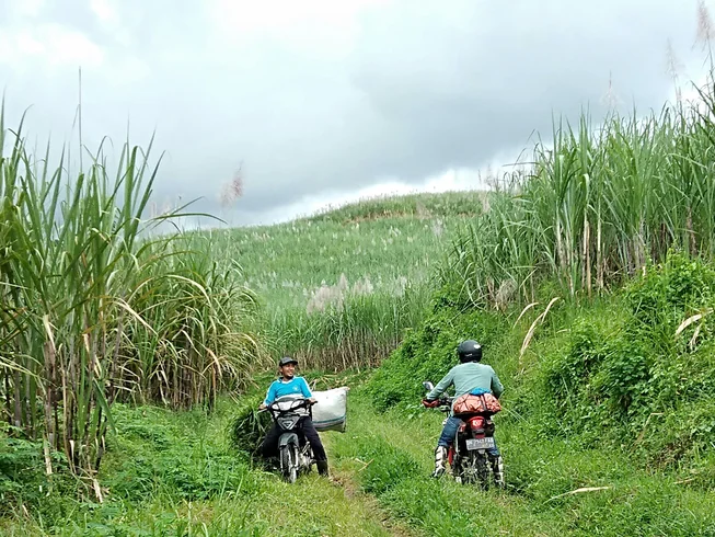 8 Day Guided Motorcycle Tour in Indonesia: Off-road Adventure from Bali to East Java photo 2