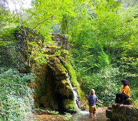 14 jours en stage de marche méditative et détox ayurvédique en Champagne-Ardenne, France - Photo 5