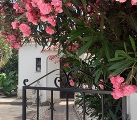 5 jours en retraite bien-être privée Pure Mind to Heart Detox en Algarve, Portugal - Photo 5