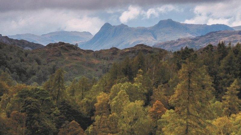3 Day Nature Immersion: Yoga and Walking Retreat in the Lake District, United Kingdom