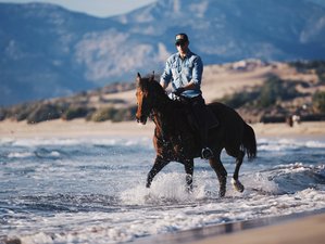 5 Day Lycian Way and Patara Beach Horse Riding Holiday in Turkey