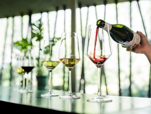 4 Day Even More Amor Couples Retreat in Mendoza, Argentina