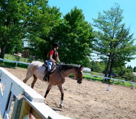 14 Day Summer Horse Riding and French Camp for Teens in Quebec City - Photo 3