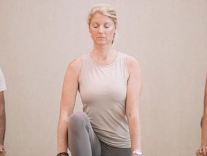 4 Tage Stiller Yin Yoga und Meditation Retreat in Claverack, New York, USA