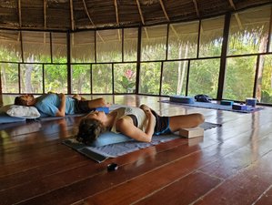4 Day Amazon Reiki Level 1 Initiation & Yoga Retreat in Tarapoto, Peru