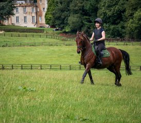 17 Day Luxury Horse Riding Holiday with Cultural and Foodie Experiences in Wicklow, Ireland  - Photo 1