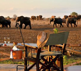 15 días de safari por Tsavo West, Amboseli y Tsavo East en Kenia desde Mombasa o Diani - Photo 1