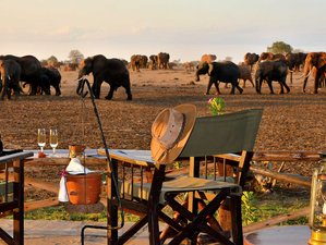 5 Tage Safari in Tsavo West, Amboseli und Tsavo East in Kenia ab Mombasa oder Diani