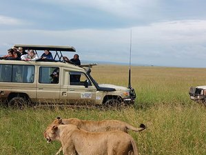 4 Day Safari in Kenya: Ol Pajeta and Lake Nakuru Adventure