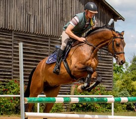 4 Day Jumping Training and Horse Riding Holiday in Galiny, Gmina Bartoszyce, Poland - Photo 2