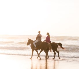 3 Day Sidi Kaouki Trek: Adventure, Relaxation, and Sunset Magic Horse Riding Holiday in Morocco - Photo 3