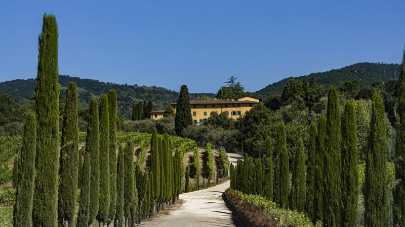 5 Day Wonderful Culinary Experience in Tuscany