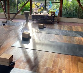 21 Day Yoga and Detox Holiday in Arenal, Alajuela, Costa Rica - Photo 4