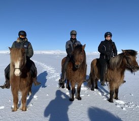 04 jours vacances équestres hivernales et aurores boréales à Selfoss, Islande - Photo 1
