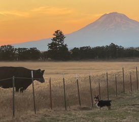 17 jours-200h en formation de professeur de yoga Hot 26 & 2 inspirante en Oregon, États-Unis - Photo 4