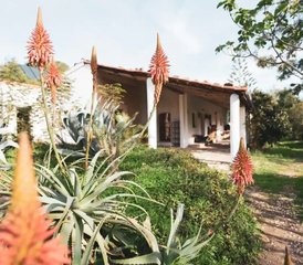 6-daagse wellnessretraite voor 50+ vrouwen in Aljezur, Portugal - Photo 5