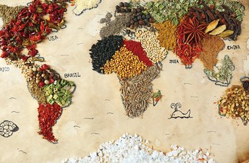 5 Day Portugal's Spice Route and Beyond: Gastronomic Adventure Across the Continents