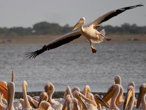 11 Day Tanzania Safari Adventure and Zanzibar Beach Holiday